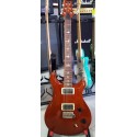 PRS Standard 22 BIRDS opt. - vaiconlasigla