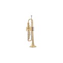 JUPITER ITALIA JTR500Q - vaiconlasigla