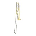 JUPITER ITALIA JTB1150FOQ - vaiconlasigla