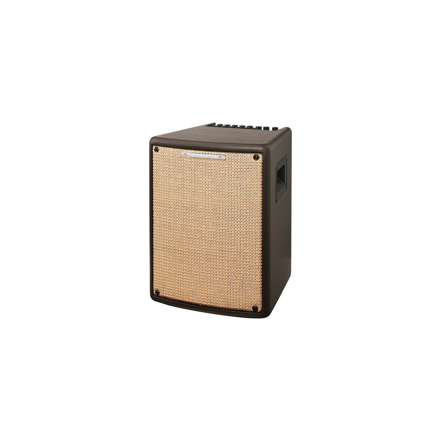 IBANEZ T80II AMPLI COMBO 80W PER CHITARRA ACUSTICA E VOCE - vaiconlasigla