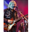 DUESENBERG Alliance Joe Walsh Signature Gold Burst - vai con la sigla
