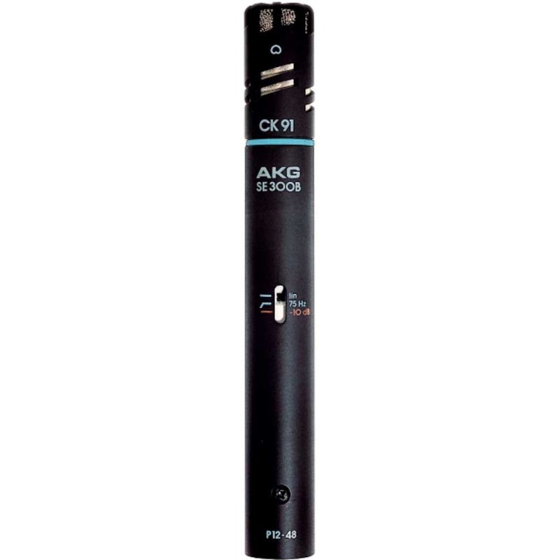 AKG C391 B