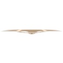 MEINL B20TRCH