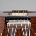 D'Addario PW-CP-19S, Capotasto Pro Plus, argento - vai con la sigla