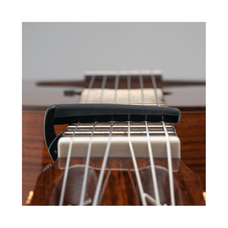 D'Addario PW-CP-19S, Capotasto Pro Plus, argento - vai con la sigla