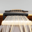 D'Addario PW-CP-19S, Capotasto Pro Plus, argento - vai con la sigla