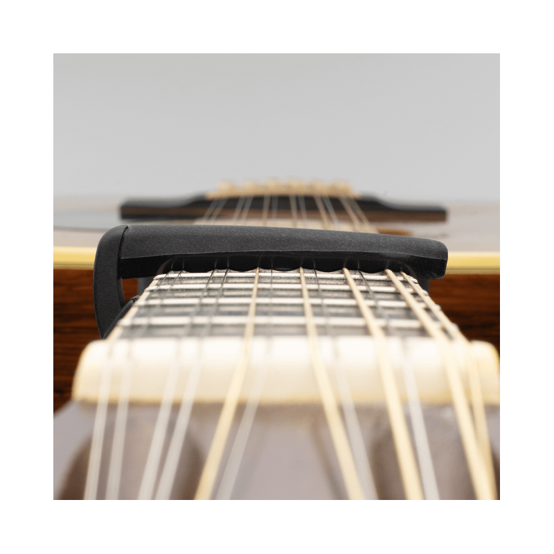 D'Addario PW-CP-19S, Capotasto Pro Plus, argento - vai con la sigla