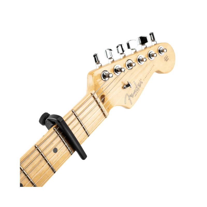 D'Addario PW-CP-19S, Capotasto Pro Plus, argento - vai con la sigla