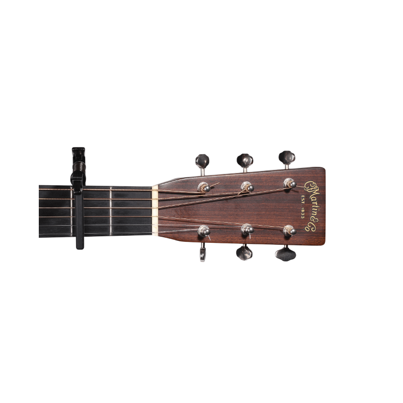D'Addario PW-CP-10,capotasto Artist - vai con la sigla