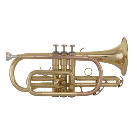 GRASSI GR SC240 Cornetta
