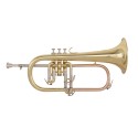 GRASSI GR SSFLH570 Flicorno Soprano school