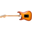 FENDER Stratocaster American Performer Timber edizione limitata - vai con la sigla