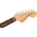 FENDER Stratocaster American Performer Timber edizione limitata - vai con la sigla