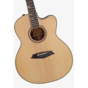 SIRE Guitars A4-G Cutaway Natural - vai con la sigla