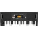 KORG EK-50 tastiera arranger - vai con la sigla