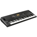 KORG EK-50 tastiera arranger - vai con la sigla