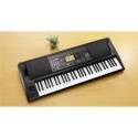 KORG EK-50 tastiera arranger - vai con la sigla