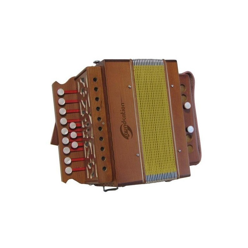 ORGANETTO SOUNDSATION SAC-1202G-WD LEGNO IN SOL