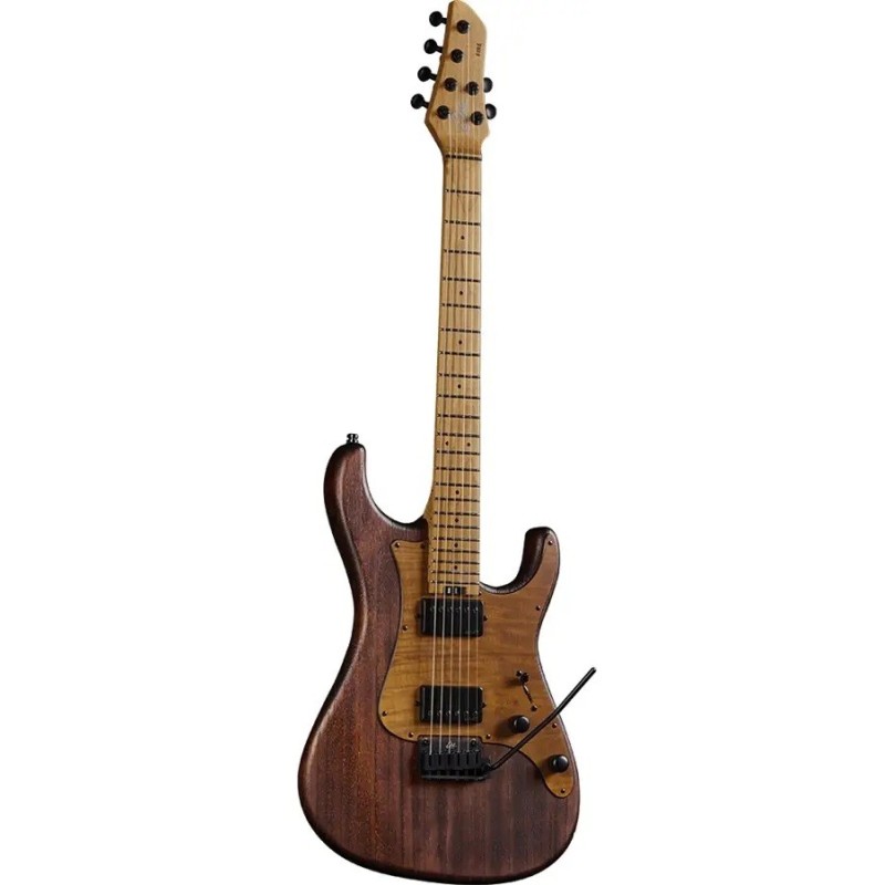 Eko Guitars Fire 701 Wildwood - vai con la sigla