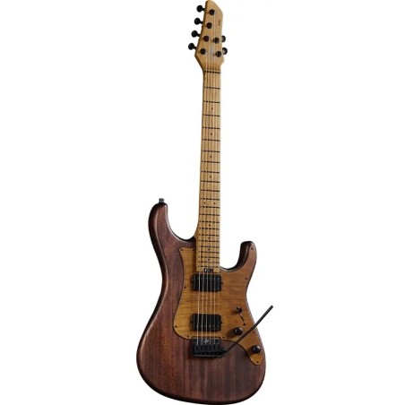 Eko Guitars Fire 701 Wildwood - vai con la sigla