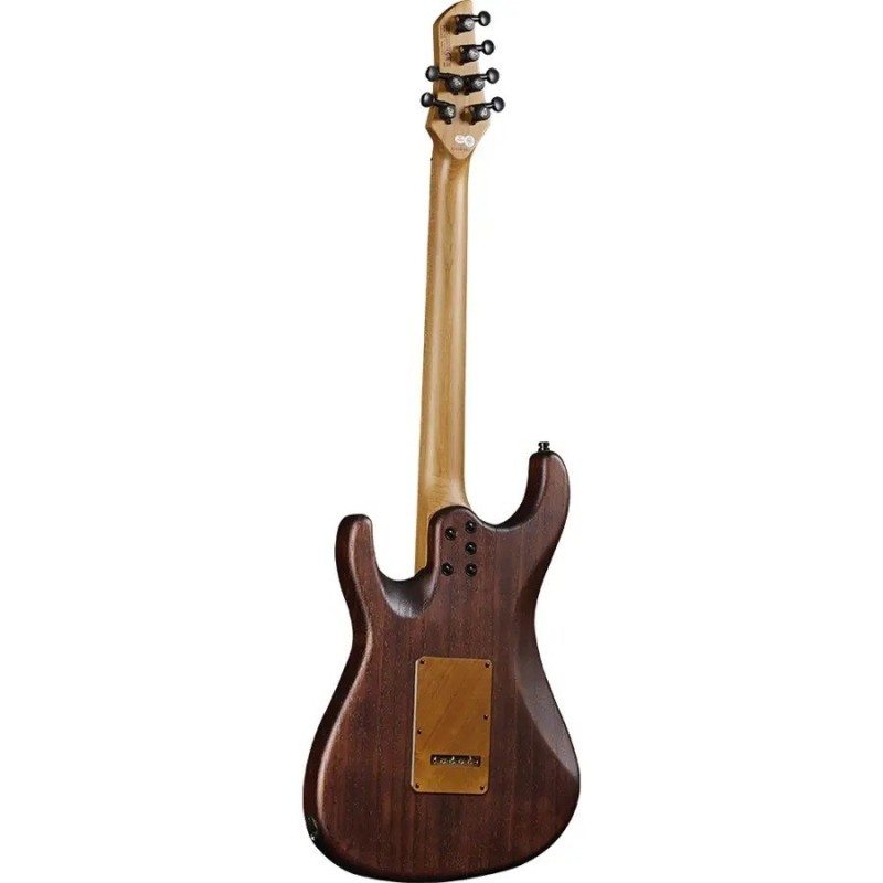 Eko Guitars Fire 701 Wildwood - vai con la sigla