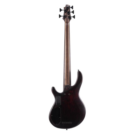 CORT B5 ELEMENT OPTB