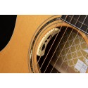 CORT GOLD EDGE NAT C/ESTUCHE