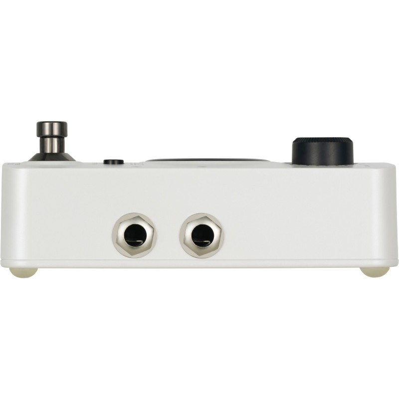 MOOER GL100