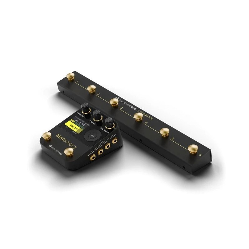 SINGULAR SOUND SUPERSWITCH