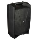 Proel V15Pro diffusore amplificato con dsp - vai con la sigla
