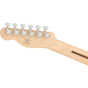 Affinity Series Telecaster, Laurel Fingerboard, White Pickguard, Lake Placid Blue - vai con la sigla