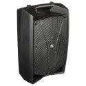PROEL Diffusore Amplificato con DSP V12PRO