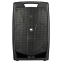 PROEL Diffusore Amplificato con DSP V12PRO