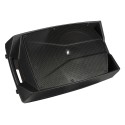 PROEL Diffusore Amplificato con DSP V12PRO