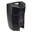 PROEL Diffusore Amplificato con DSP V12PRO