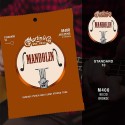 MARTIN M400 Corde per Mandolino, Bronze Wound 80/20 - vaiconlasigla