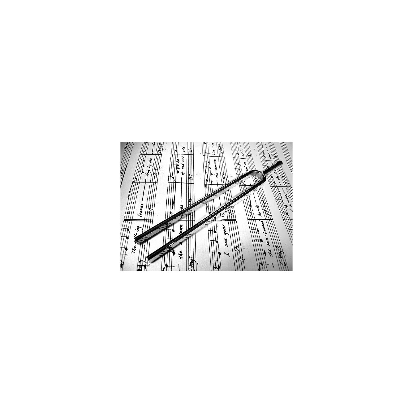 Suite BWV 995, trascrizione per Chitarra di Oscar Ghiglia - vai con la sigla