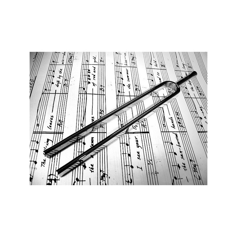 Suite BWV 997, trascrizione per Chitarra (Company) - vaiconlasigla