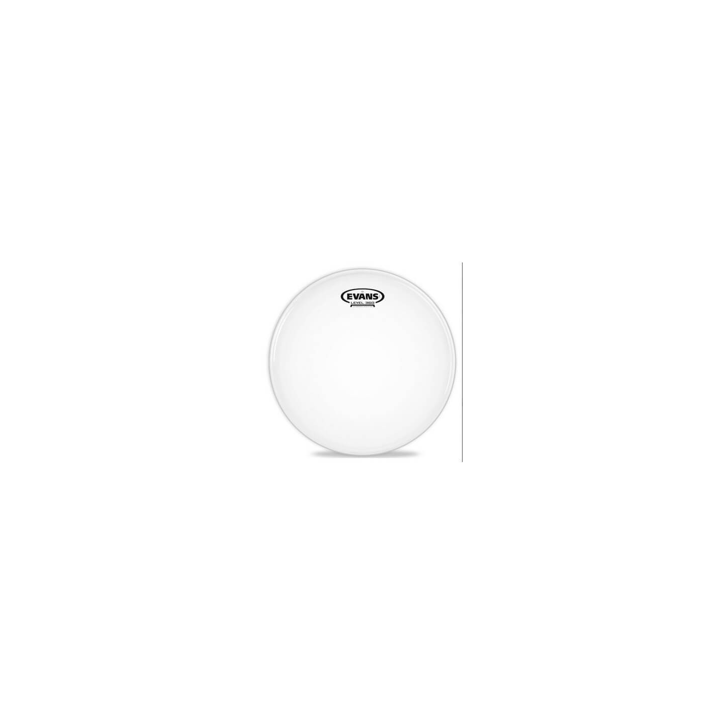 EVANS B12G1 12" COATED - vaiconlasigla