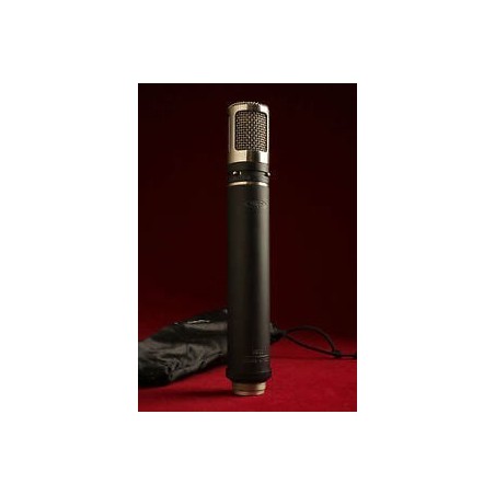 GT AM30 MICROFONO A CONDENSATORE - vai con la sigla