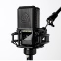 MICROFONO LEWITT LCT 441 FLEX - vai con la sigla