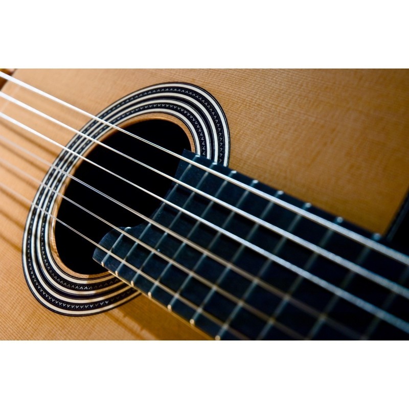 CHITARRA CLASSICA CUENCA LINEA PROFESIONAL CON ASTUCCIO - vaiconlasigla