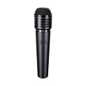 MICROFONO LEWITT MTP 440 DM - vai con la sigla