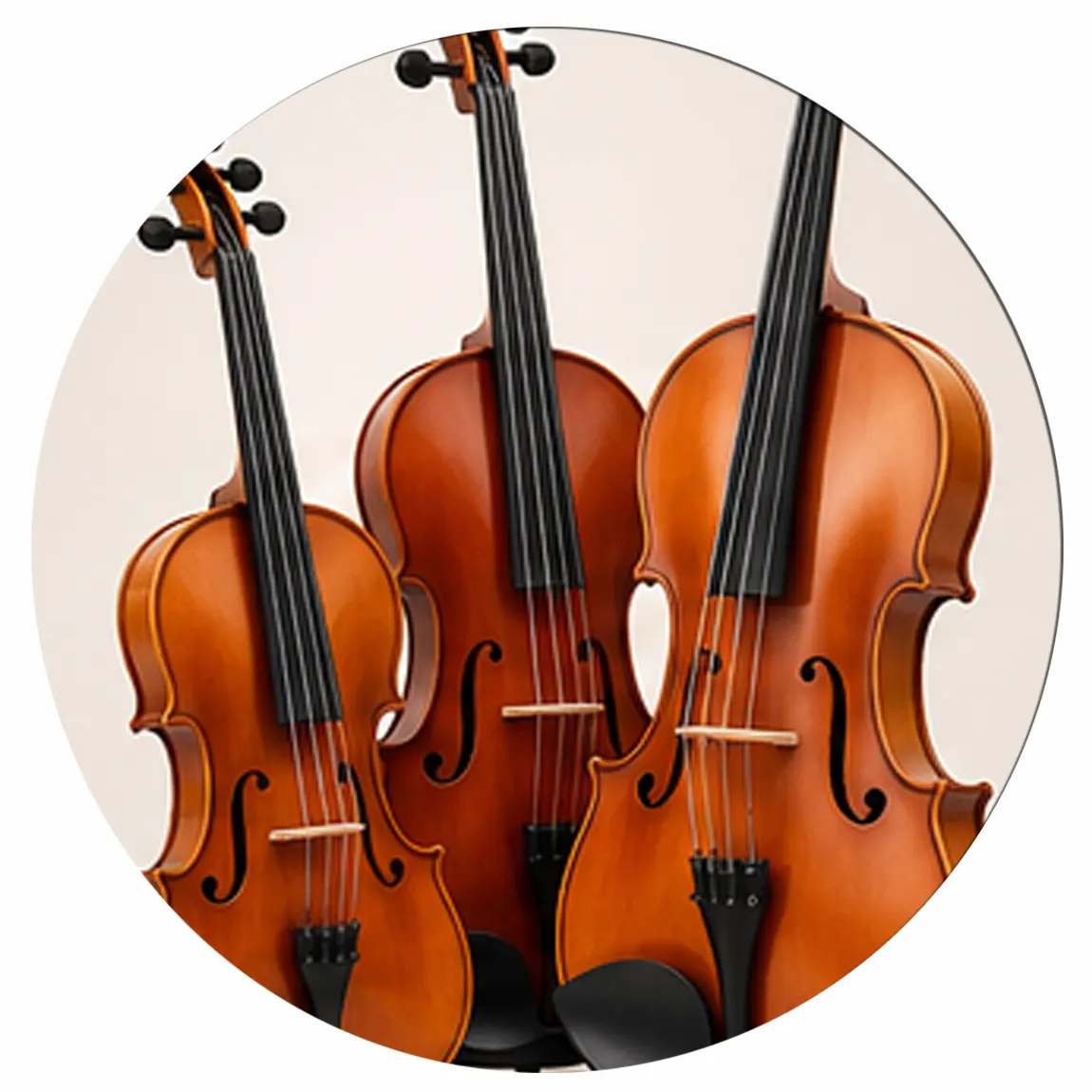 Violini e viole