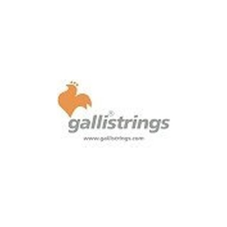 Galli